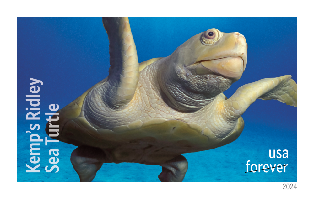 2024 Protect Sea Turtles Stamps