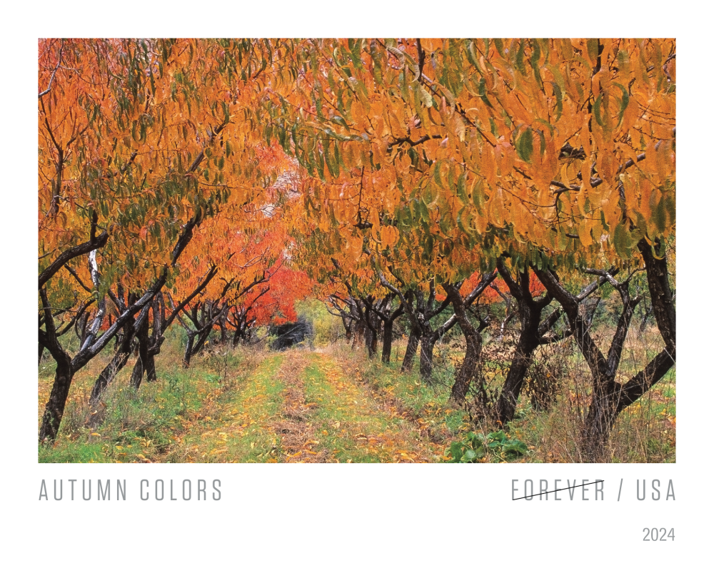 2024 Autumn Colors Stamps