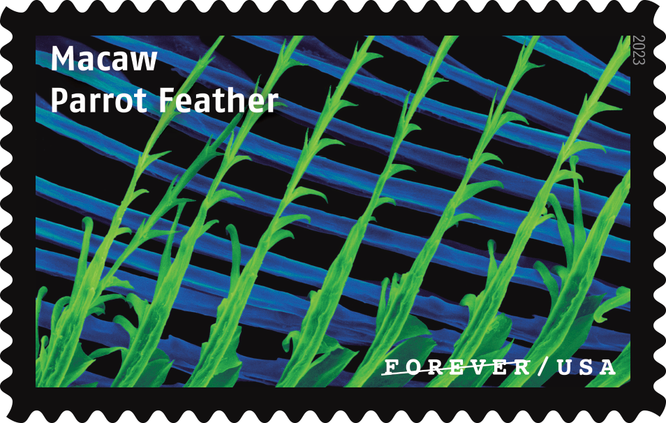 2023 Life Magnified Stamps