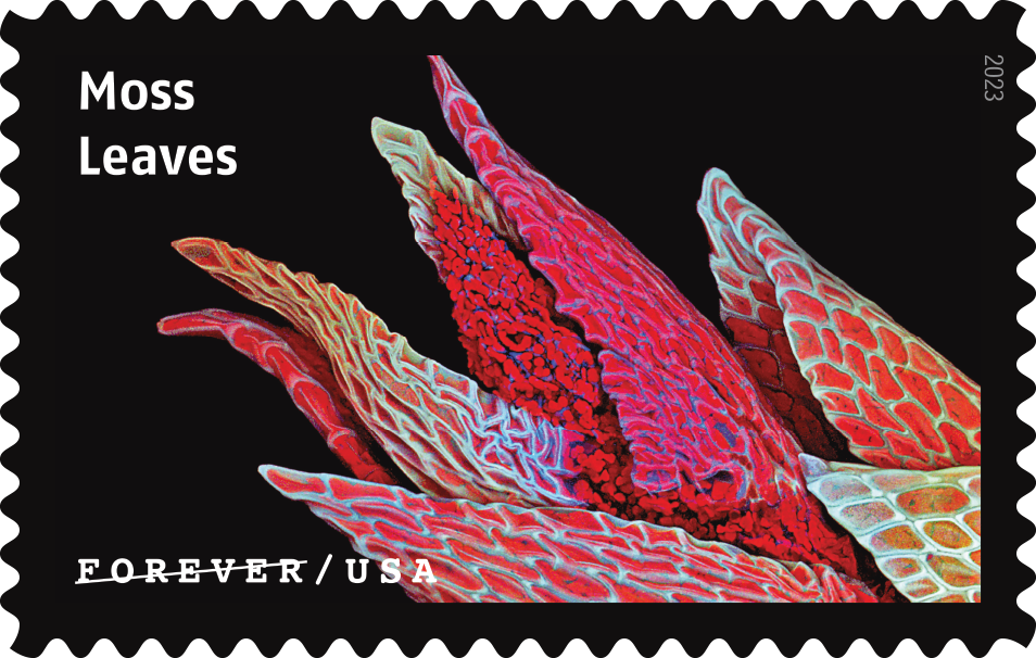 2023 Life Magnified Stamps