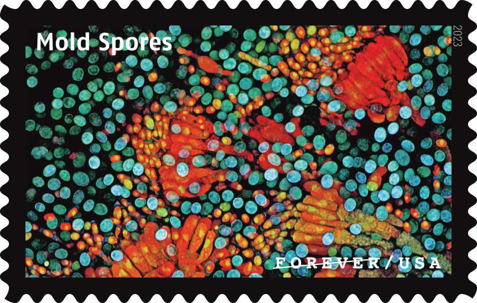 2023 Life Magnified Stamps