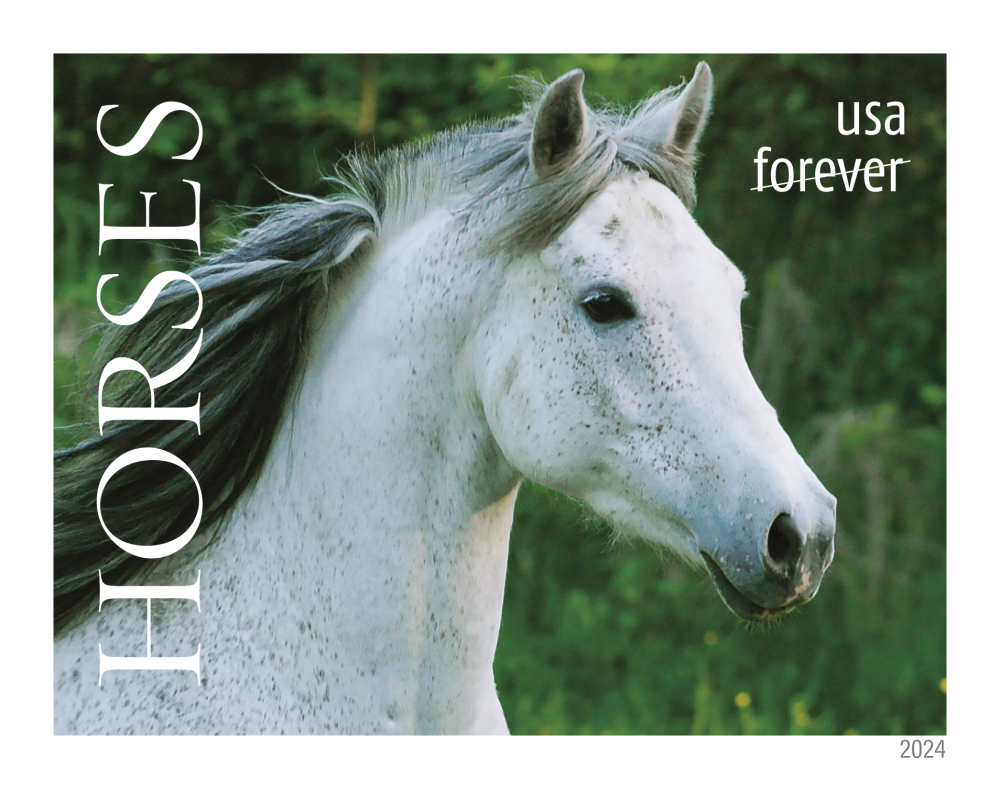 2024 Horses Stamps