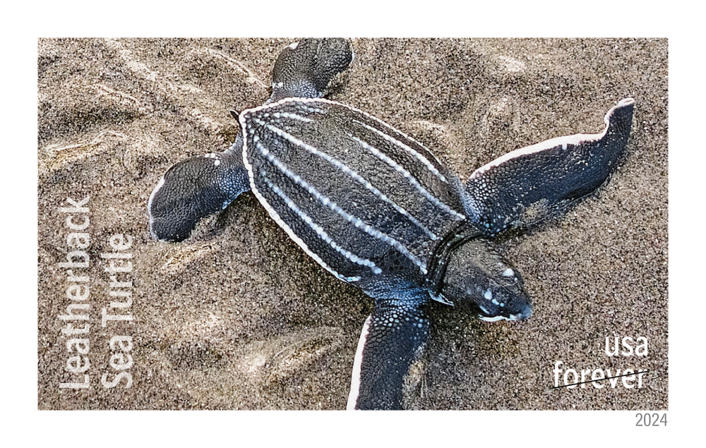 2024 Protect Sea Turtles Stamps