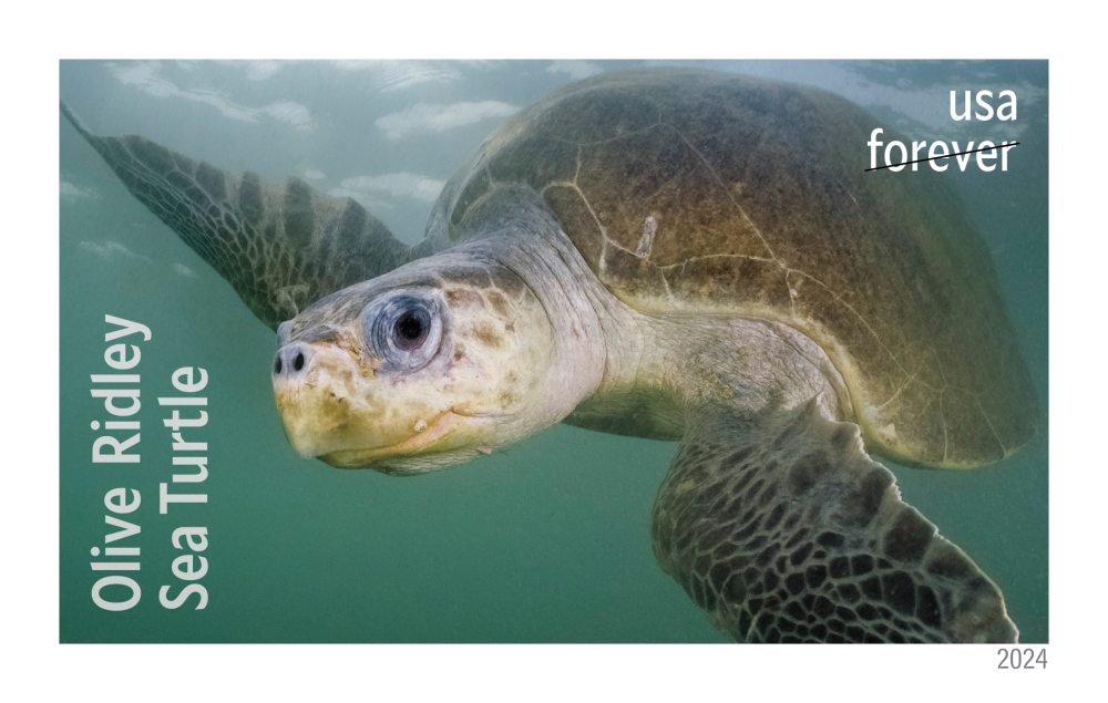 2024 Protect Sea Turtles Stamps