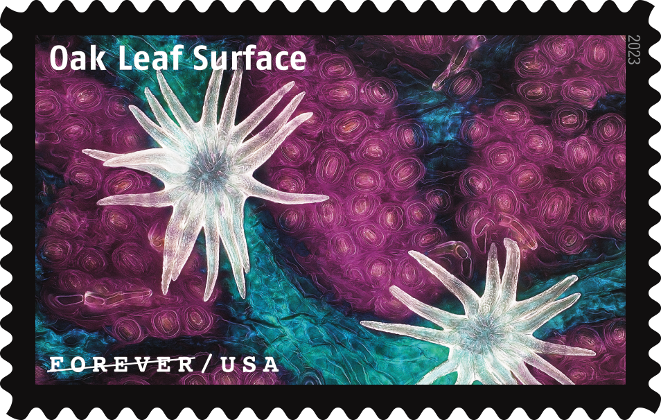 2023 Life Magnified Stamps