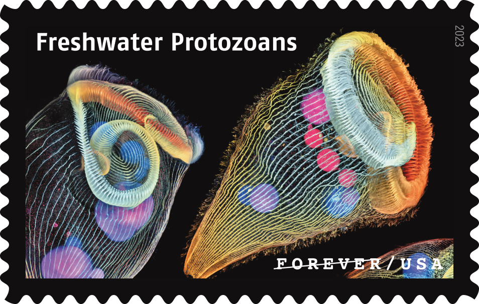 2023 Life Magnified Stamps